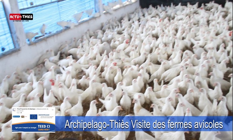 Lire la suite à propos de l’article FORMATION PROFESSIONNELLE : Visite des fermes avicoles qui vont pour les stagiaires du programme Archipelago